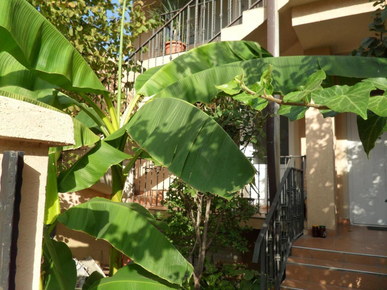 סקופיה Misko'S Guest House מראה חיצוני תמונה